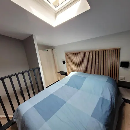 Duplex Mon Desert - Parc Sainte Marie - Thermal Apartment Nancy